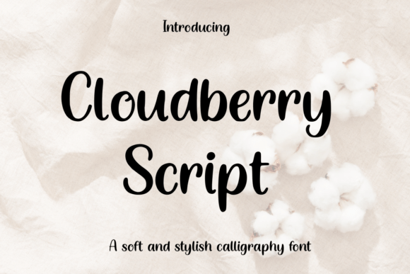 Choosing Cloudberry Script: A Real-World Branding Story