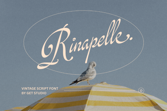 Rinapelle Script: A Font for Elegant Brand Identity