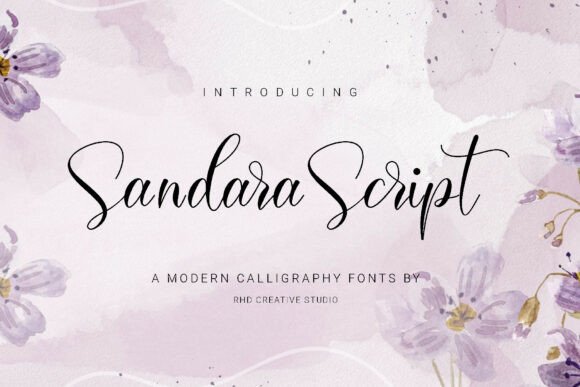 Sandara Script: An Elegant Typeface for Digital Brands